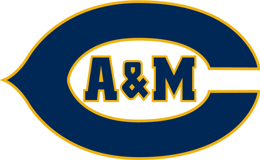 A&M-Commerce Lions 1996-2007 Alternate Logo diy iron on heat transfer